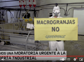 Viaje al interior de las macrogranjas