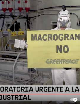 Viaje al interior de las macrogranjas