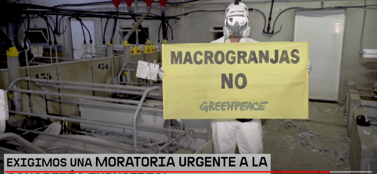 Viaje al interior de las macrogranjas