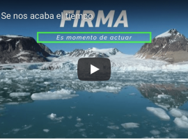 Vídeo minuto silencio Greenpeace