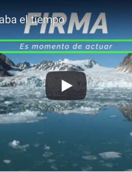 Vídeo minuto silencio Greenpeace