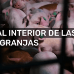 macrogranjas-greenpeace