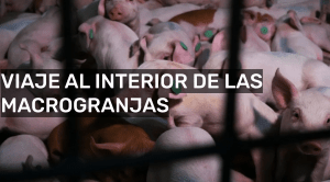 macrogranjas-greenpeace
