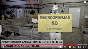 video-viaje-interior-macrogranjas